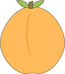 Apricot