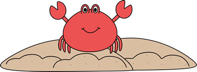 Sand_Crab