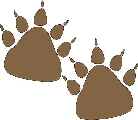 Bear_Paw_Prints