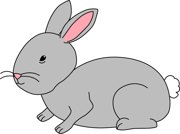 Gray_Bunny_Rabbit