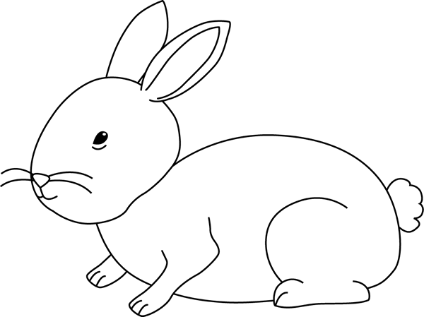 Black_and_White_Bunny_Rabbit