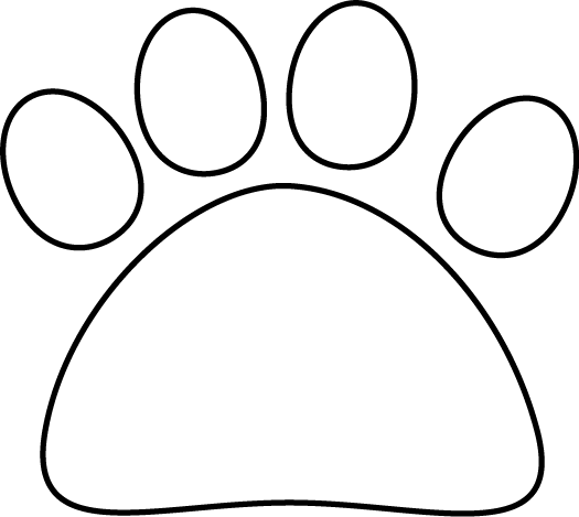 Black_and_White_Cat_Paw