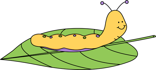 _Caterpillar_on_a_Leaf