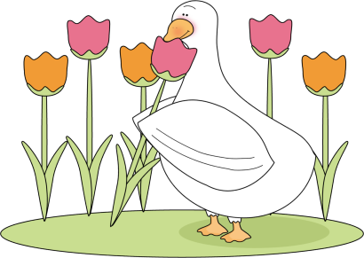 _Duck_Smelling_Flower