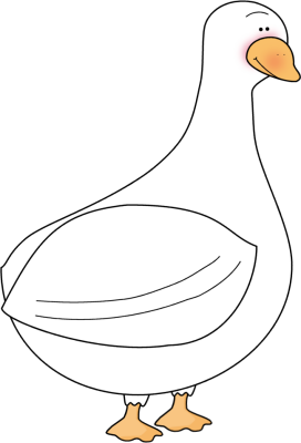 _White_Duck