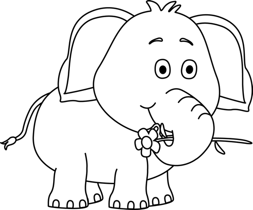 Black_and_White_Elephant_with_a_Flower