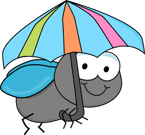 _Fly_and_Umbrella