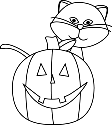 Black_and_White_Cat_and_Jack-O-Lantern