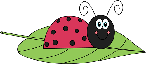 _Ladybug_on_a_Leaf