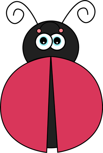 _Ladybug_without_Spots