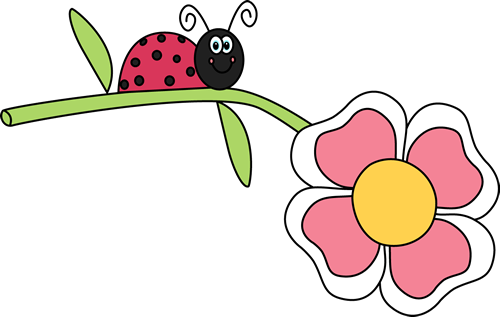 _Ladybug_on_a_Flower