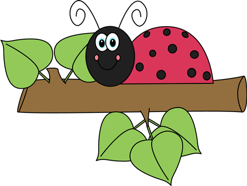 Ladybug_on_a_Branch