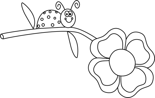 Black_and_White_Ladybug_on_a_Flower