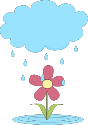 _Rain_Cloud_Over_a_Flower