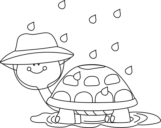 Black_and_White_Turtle_Standing_in_Rain_Puddle