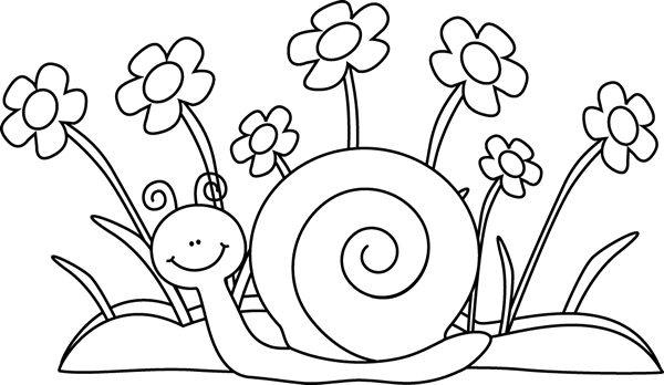 _Black_and_White_Snail_and_Flowers